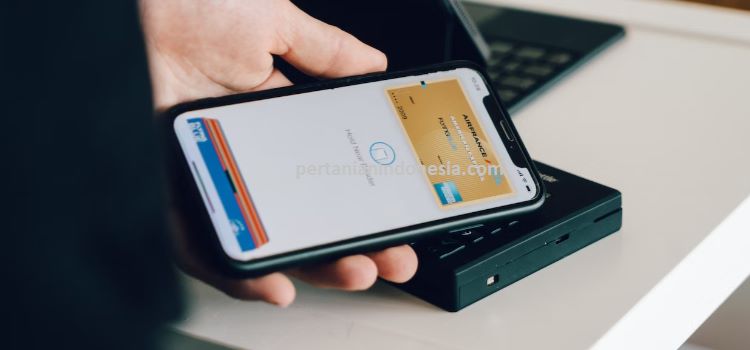 Belanja Online, Marketplace, E Commerce, Toko Online, Toko Pertanian, Pertanian Indonesia